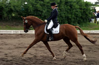 Prix St.Georges Kalkreuth 2006